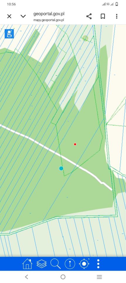 Działka leśna Miasteczko. Zdjęcie 2