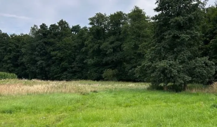 Działka budowlana Jastrzębie-Zdrój, ul. Okopowa