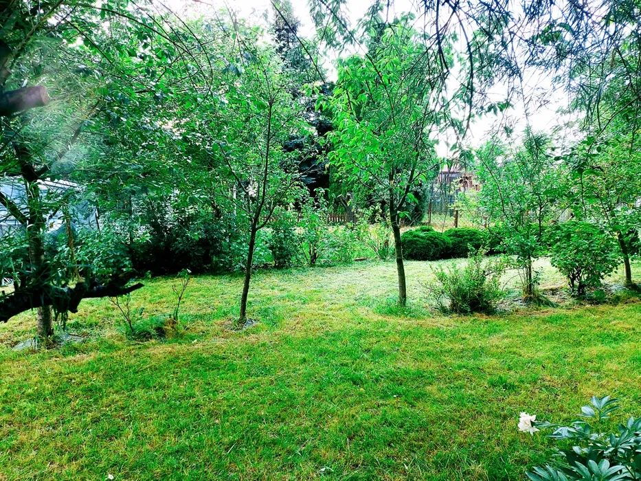 Działka rod Michałów-Reginów, ul. Warszawska. Zdjęcie 4