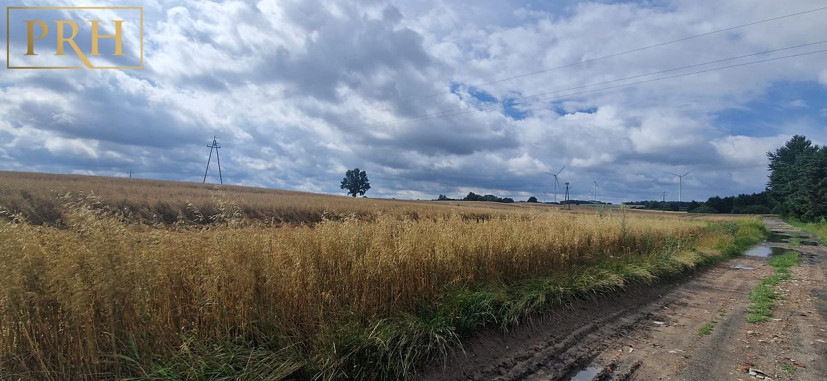 Działka budowlana Będzino. Zdjęcie 8