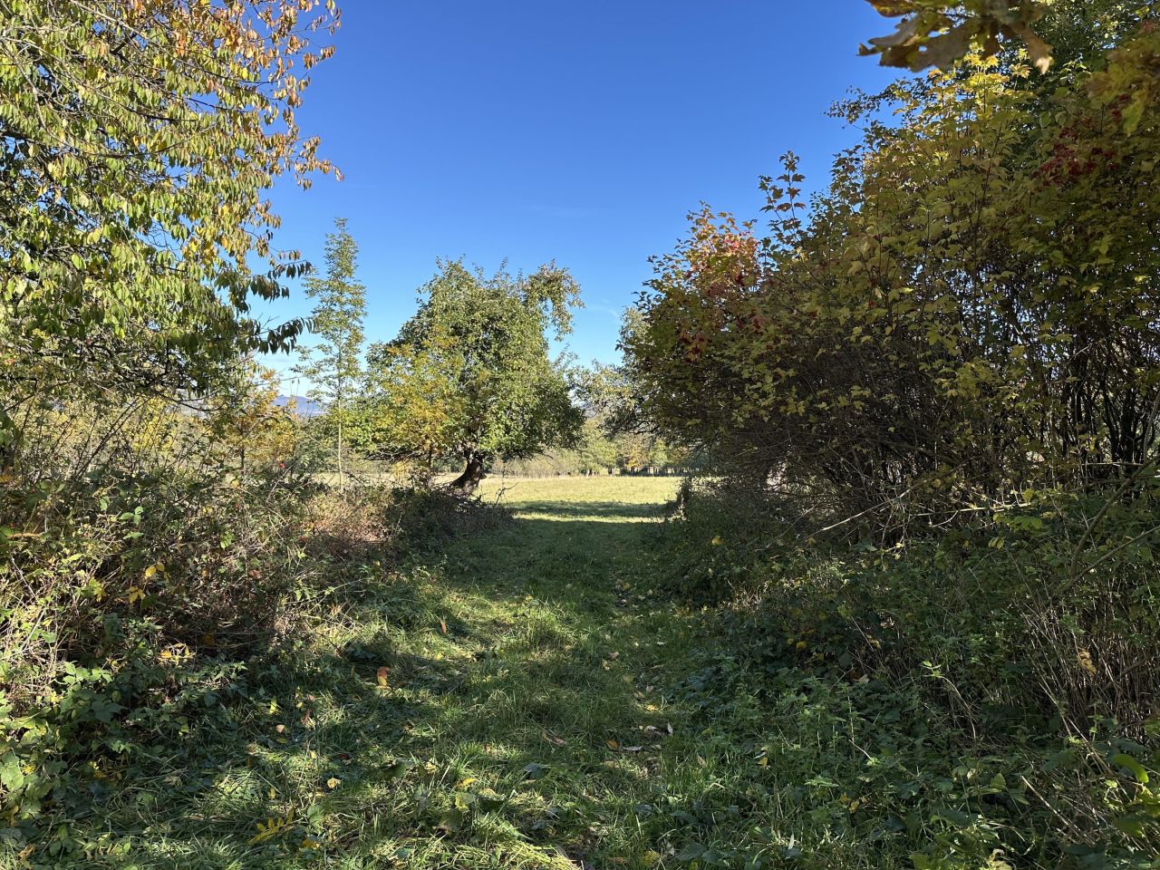 Działka budowlana Szczawina. Zdjęcie 13