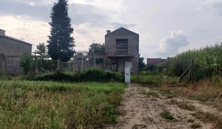 Działka budowlana Przygodzice, ul. Wincentego Witosa