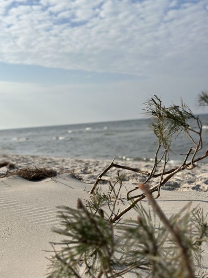 Działka budowlana Smołdziński Las. Zdjęcie 6
