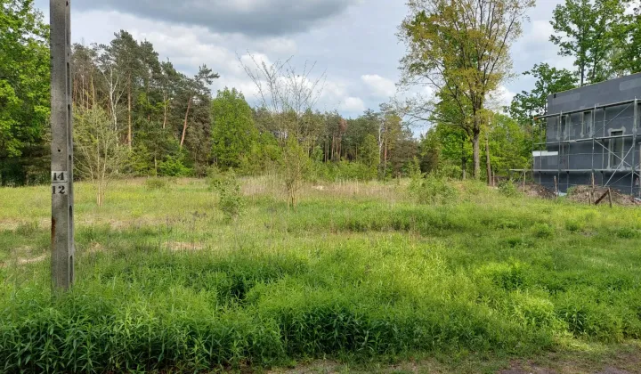 Działka rolno-budowlana Zakręt, ul. Miodowa