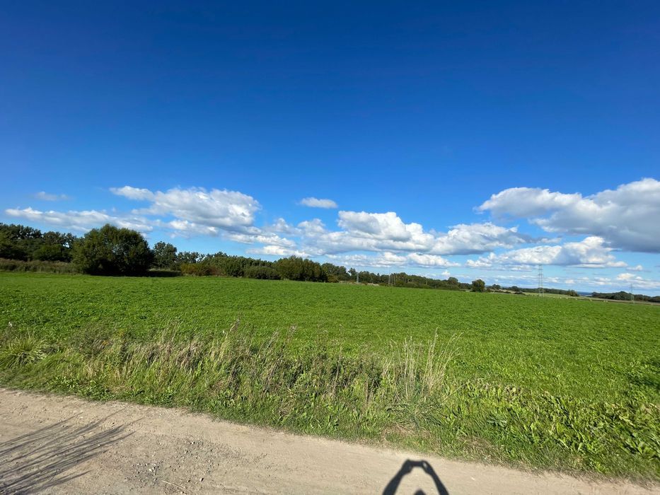 Działka budowlana Przęsocin. Zdjęcie 2