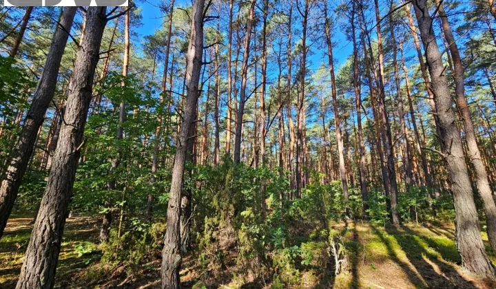 Działka budowlana Izabelin C