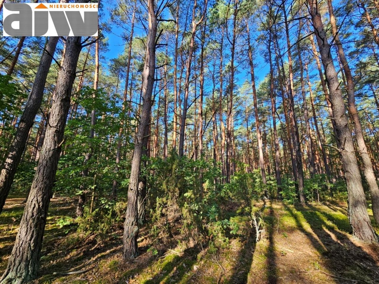 Działka budowlana Izabelin C