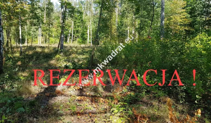 Działka budowlana Żółwin