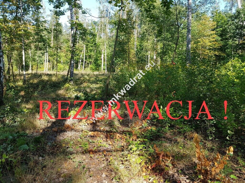 Działka budowlana Żółwin. Zdjęcie 1