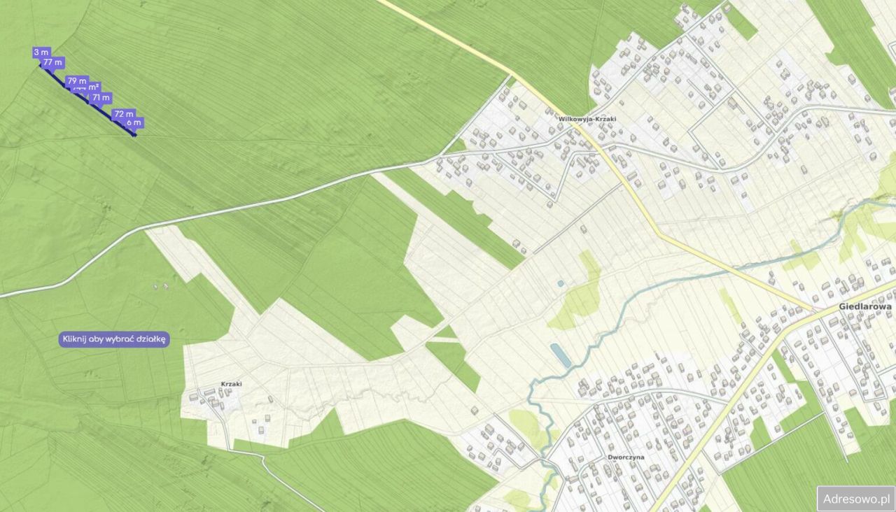 Działka leśna Giedlarowa. Zdjęcie 2