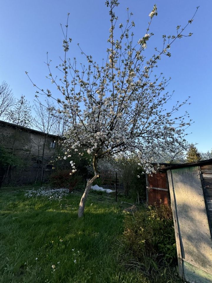 Działka rod Jelenia Góra Zabobrze, ul. Adama Mickiewicza. Zdjęcie 8