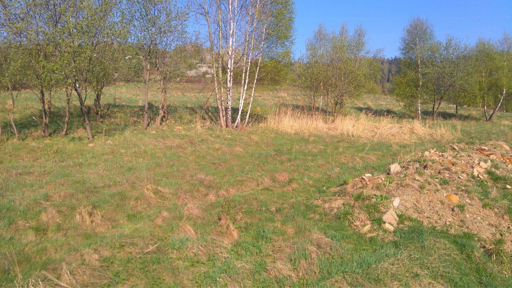 Działka budowlana Mutne. Zdjęcie 1