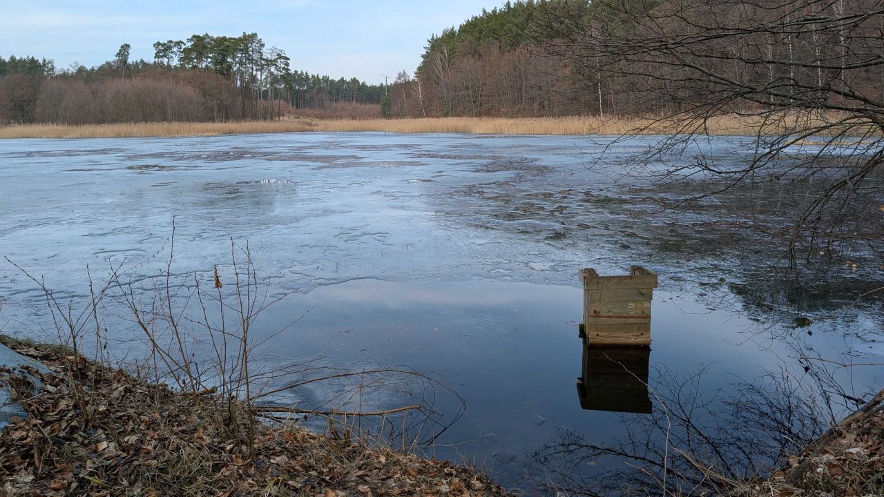 Działka rolna Lipy. Zdjęcie 6