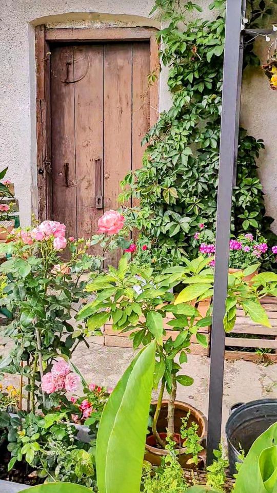 dom wolnostojący, 2 pokoje Parkoszowice, ulica. Zdjęcie 61