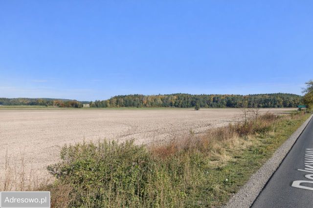 Działka rolno-budowlana Rososzyca, ul. Ostrowska. Zdjęcie 1