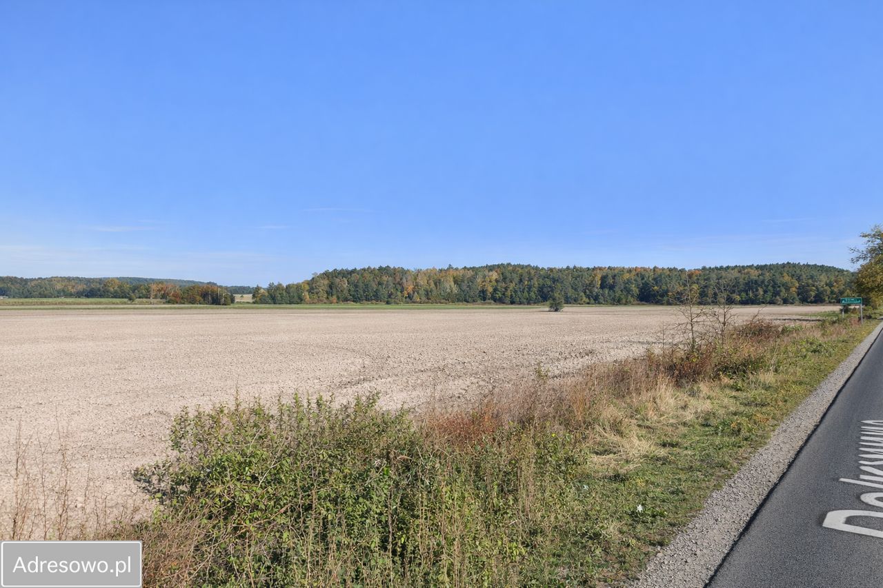 Działka rolno-budowlana Rososzyca, ul. Ostrowska. Zdjęcie 1