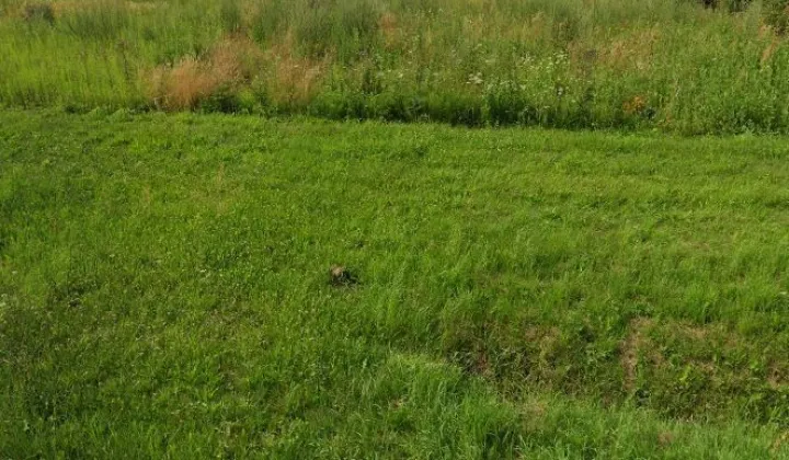 Działka rolna Stary Łajszczew