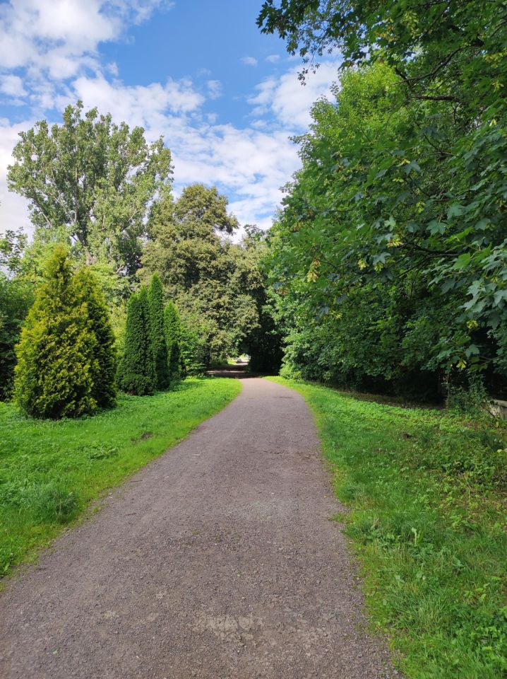 Mieszkanie 3-pokojowe Wałbrzych Stary Zdrój, ul. 11 Listopada. Zdjęcie 40