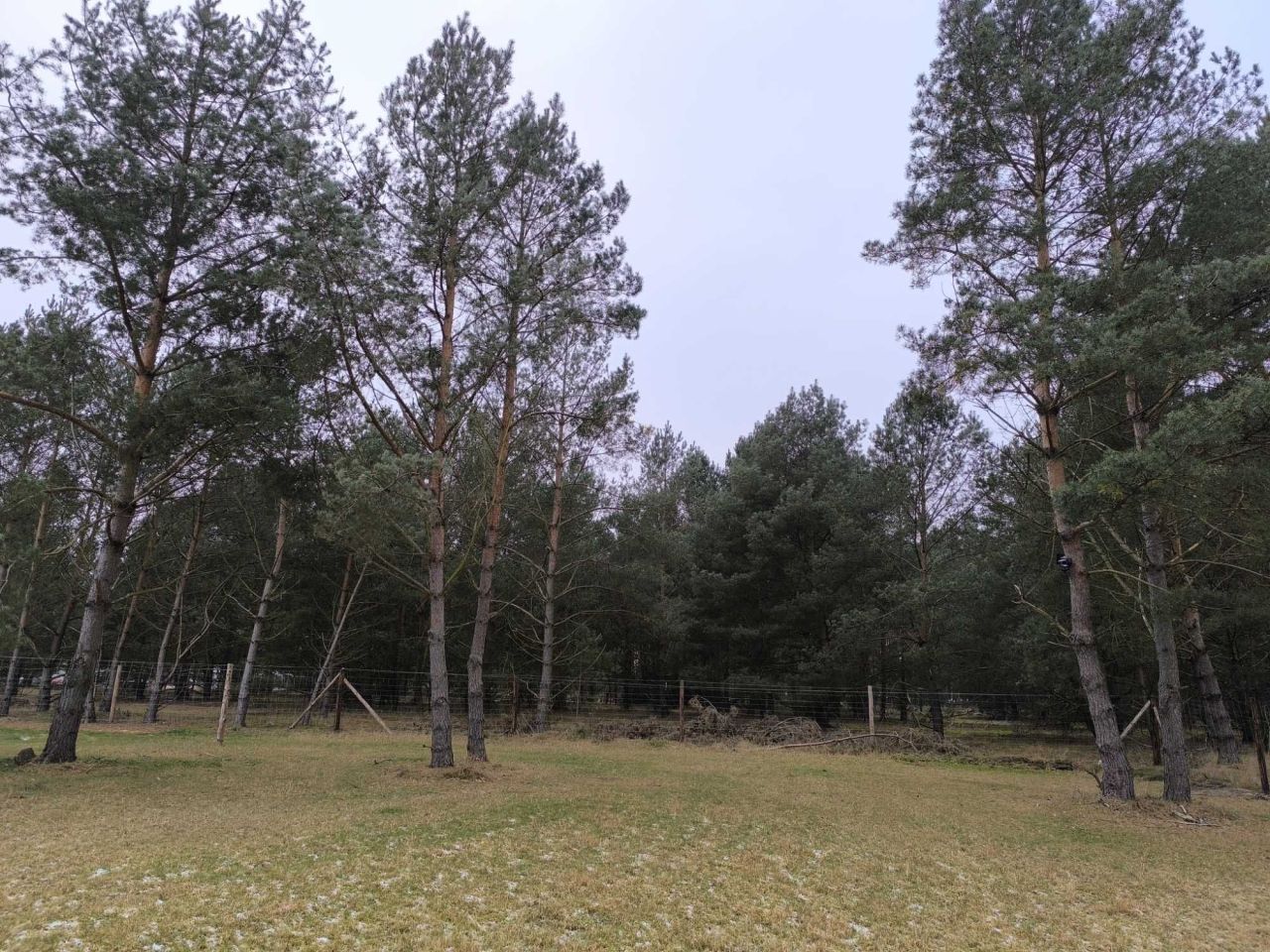 Działka budowlana Kodrąbek. Zdjęcie 8