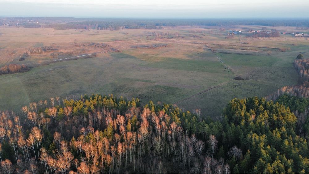 Działka rolna Szuć. Zdjęcie 7