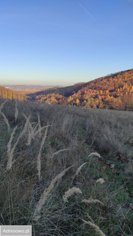 Działka inwestycyjna Rościszów, ul. Sowiogórska. Zdjęcie 4