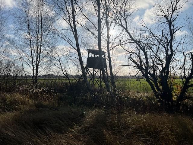 Działka leśna Stara Huta. Zdjęcie 21