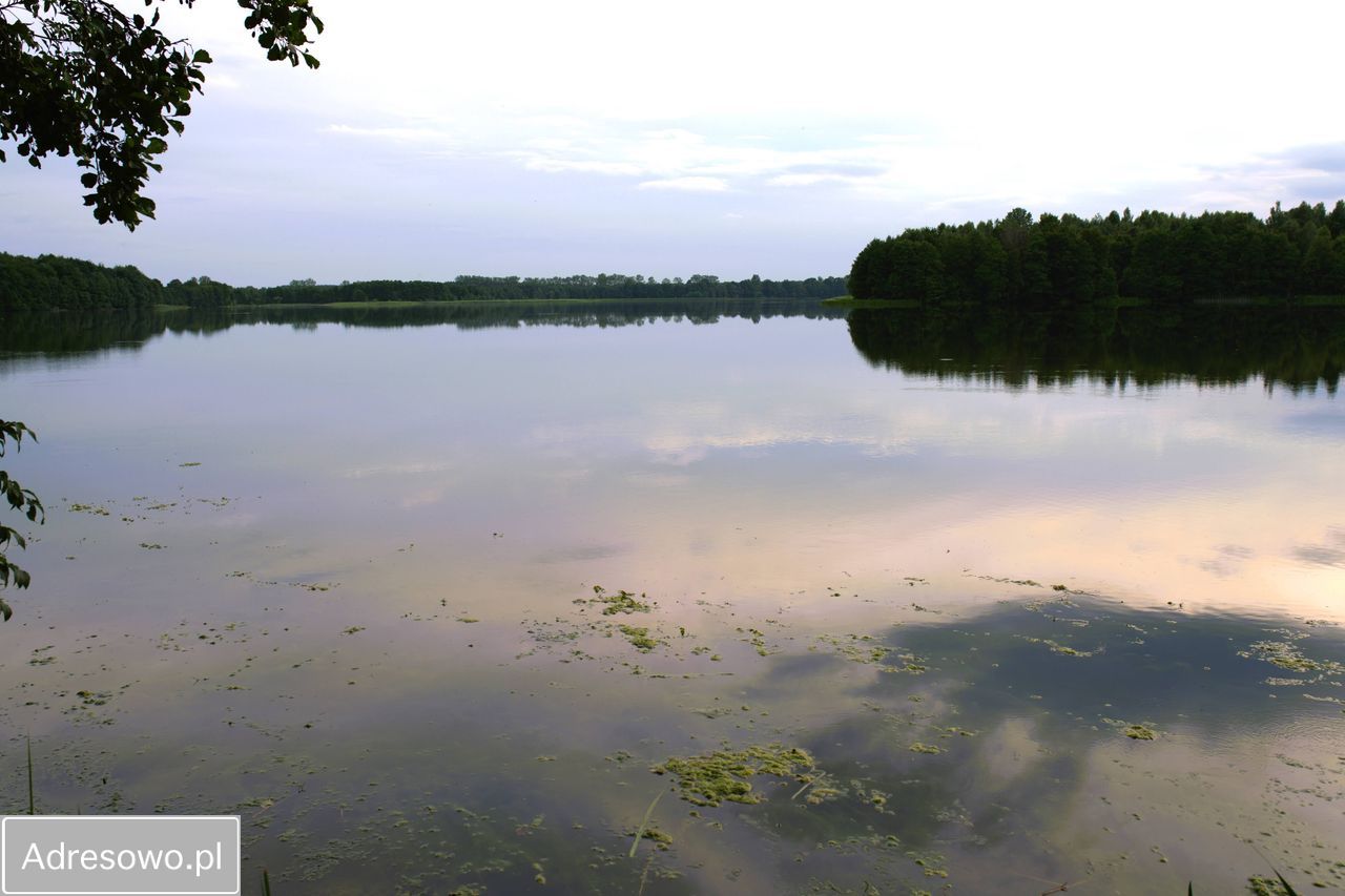 Działka rekreacyjna Wielki Podleś. Zdjęcie 10