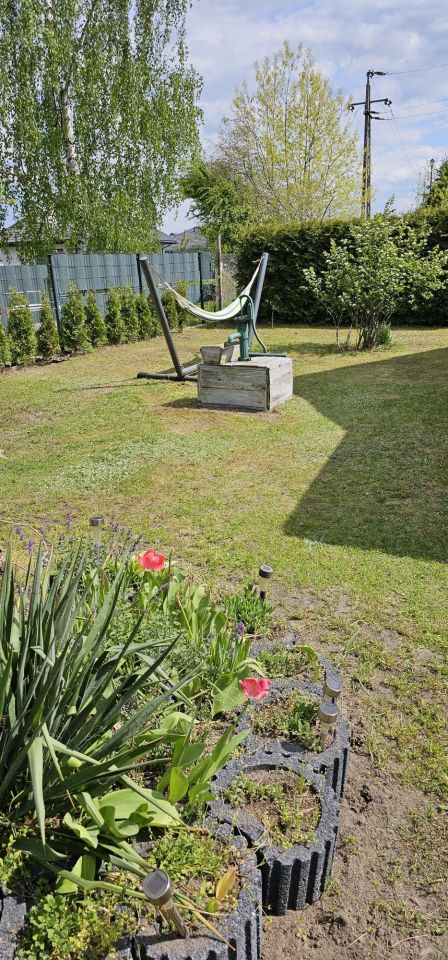 Działka rod Kajetany. Zdjęcie 6