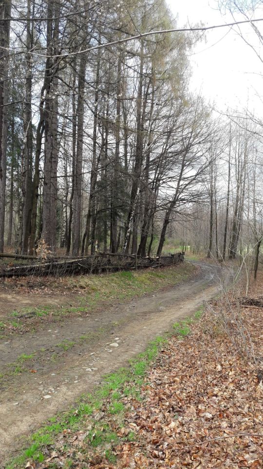 Działka rekreacyjna Czaniec, ul. Myśliwska. Zdjęcie 6