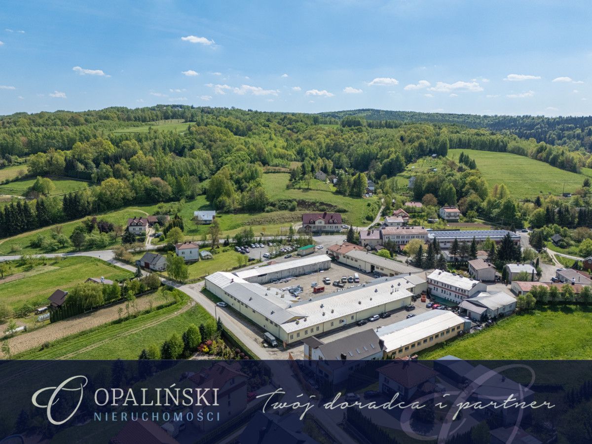 Biuro Lubenia. Zdjęcie 1