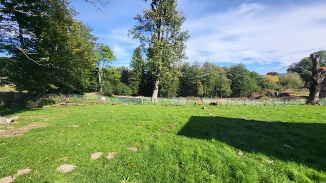 Działka budowlana Szklarska Poręba. Zdjęcie 1