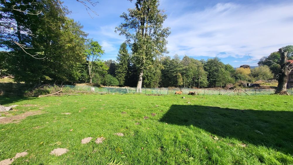 Działka budowlana Szklarska Poręba