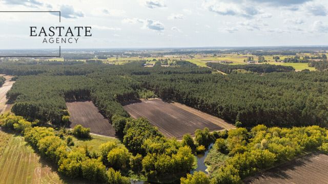 Działka leśna Maurzyce. Zdjęcie 2