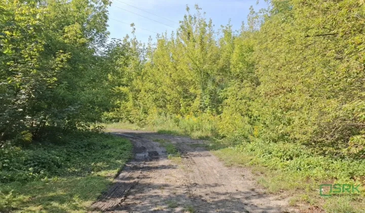 Działka inna Sosnowiec Niwka, ul. Wojska Polskiego