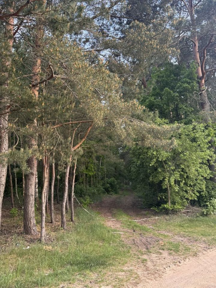 Działka rolna Nowe Naruszewo. Zdjęcie 4