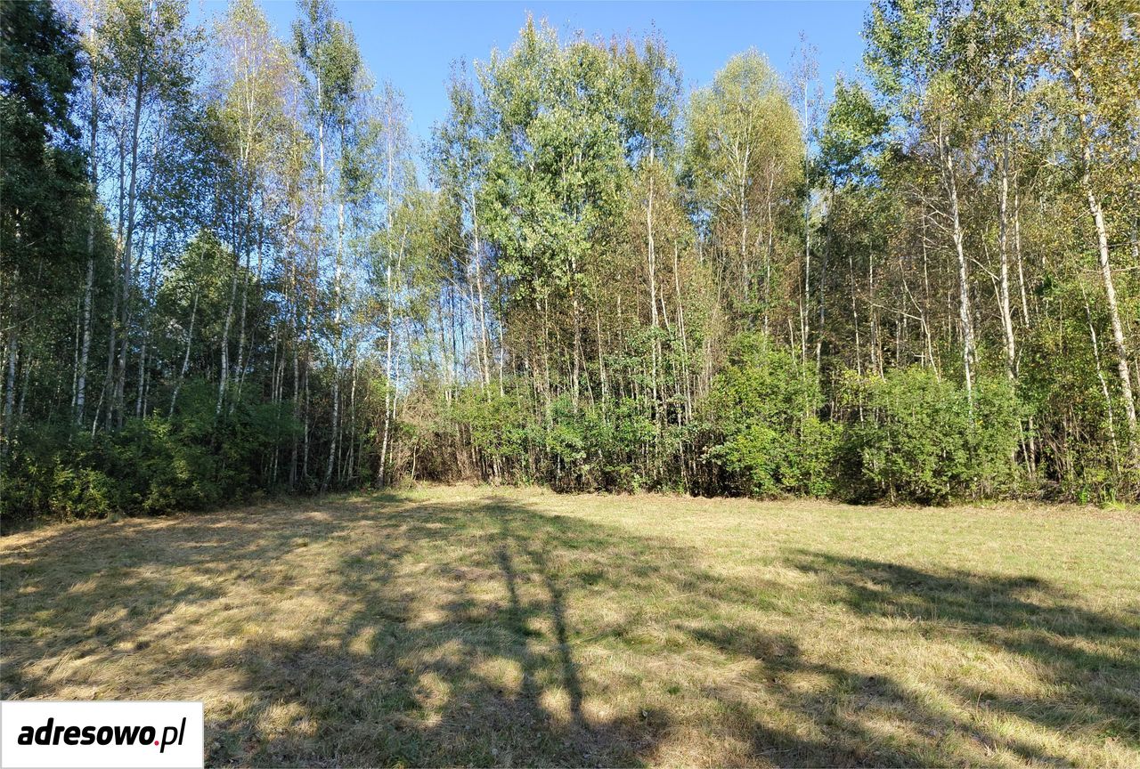 Działka rolno-budowlana Kucębów Kucębów Dolny. Zdjęcie 9