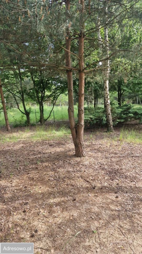 Działka budowlana Nowe Wrońska. Zdjęcie 7