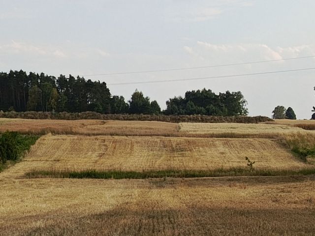 Działka rolno-budowlana Górki Duże, ul. Polska Wola. Zdjęcie 1