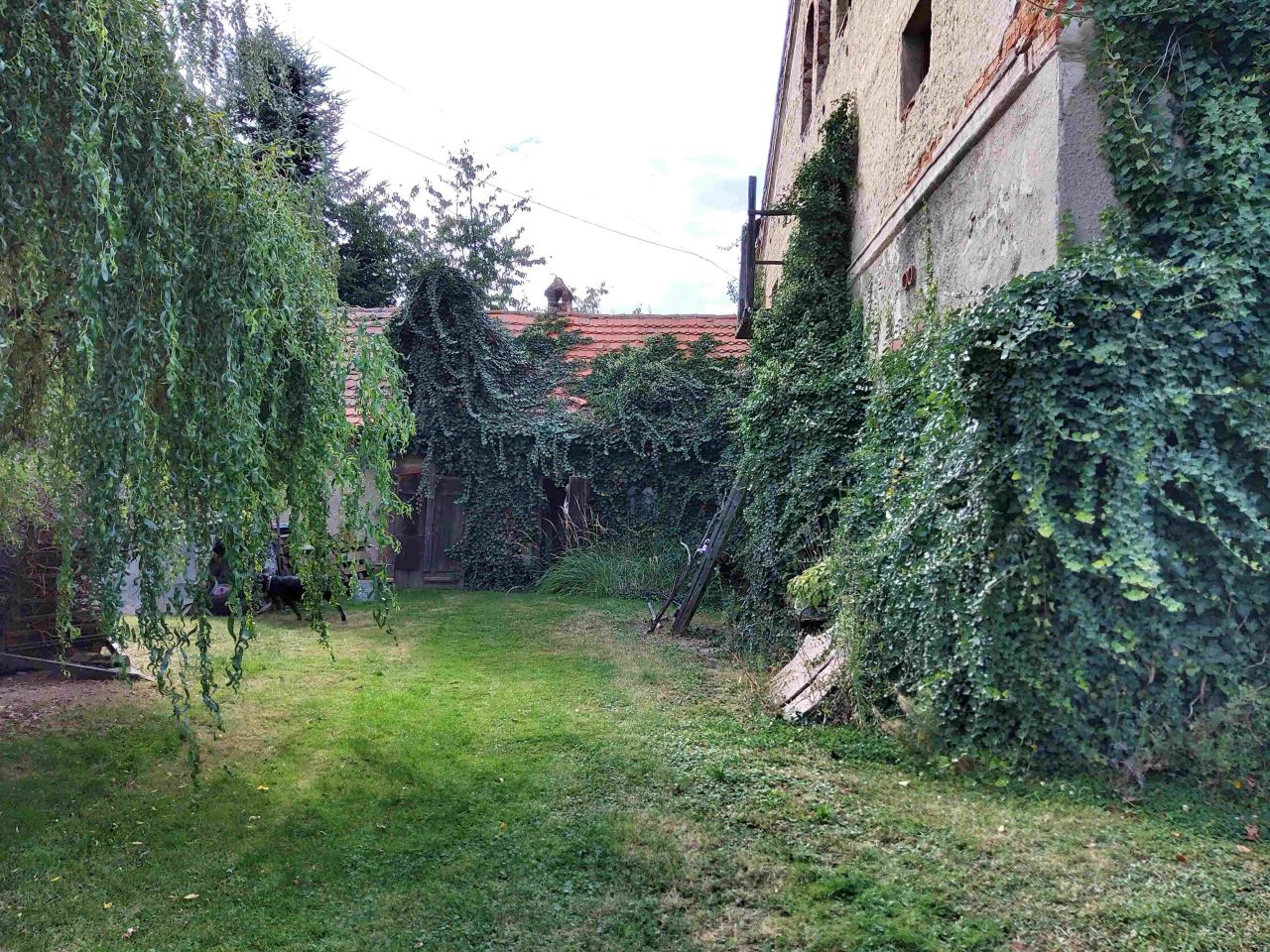 dom wolnostojący, 10 pokoi Jaźwina. Zdjęcie 68