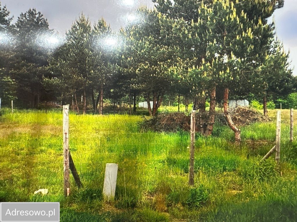 Działka budowlana Miasteczko Śląskie, ul. Klonowa. Zdjęcie 8