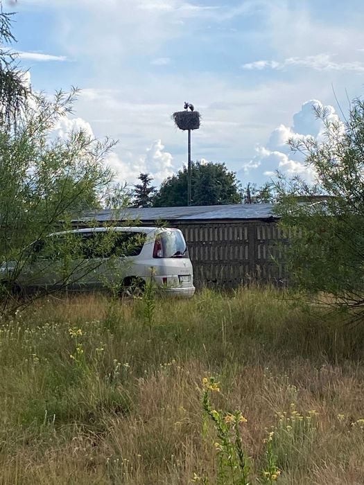 Działka inwestycyjna Gajewo. Zdjęcie 5