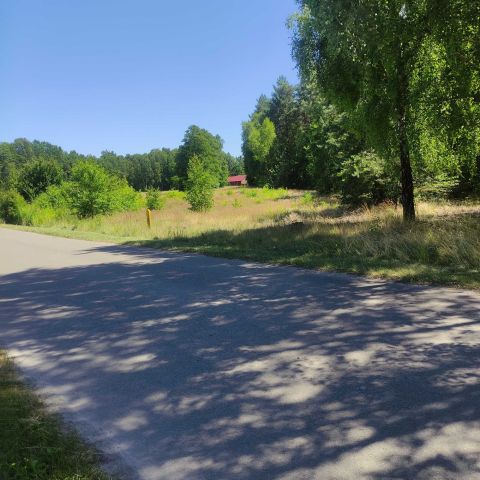 Działka rekreacyjna Kośmin. Zdjęcie 1