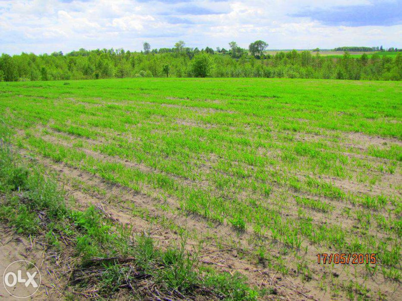 Działka budowlana Psary. Zdjęcie 3