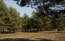 Działka budowlana Rajszew, ul. Mazowiecka. Zdjęcie 3