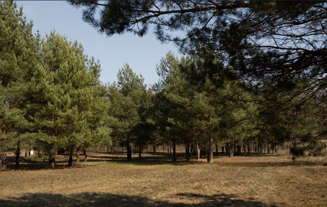 Działka budowlana Rajszew, ul. Mazowiecka. Zdjęcie 4