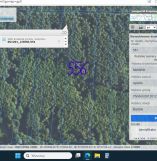 Działka leśna Borów. Zdjęcie 1