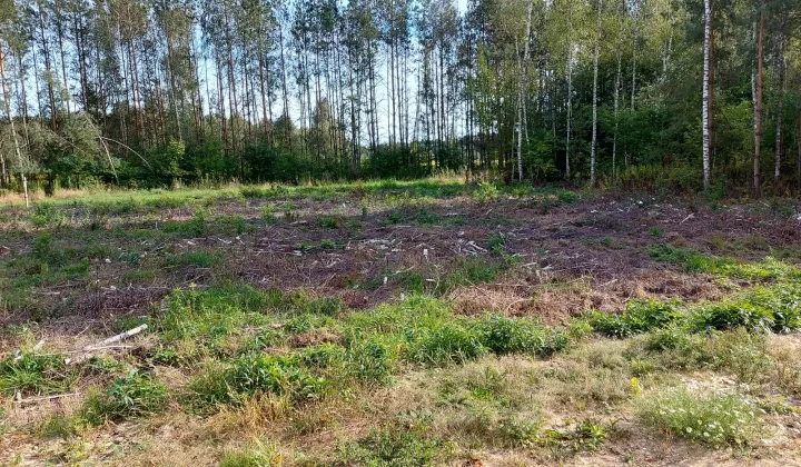 Działka budowlana Targówka