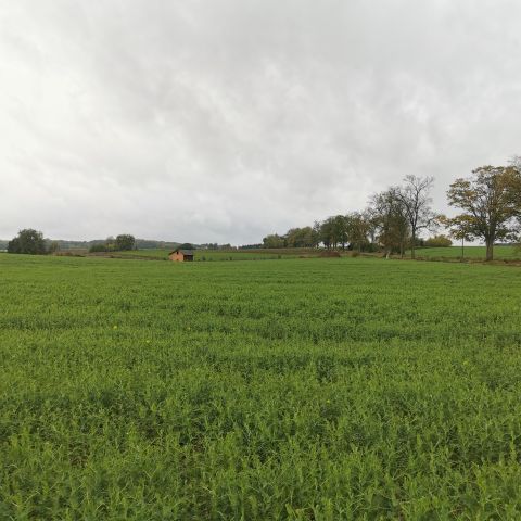 Działka budowlana Łąkie. Zdjęcie 11