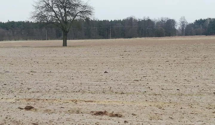 Działka budowlana Zuzałka