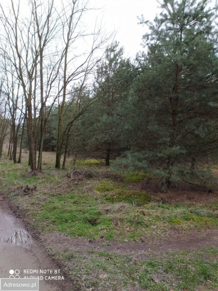 Działka siedliskowa Poręba. Zdjęcie 4